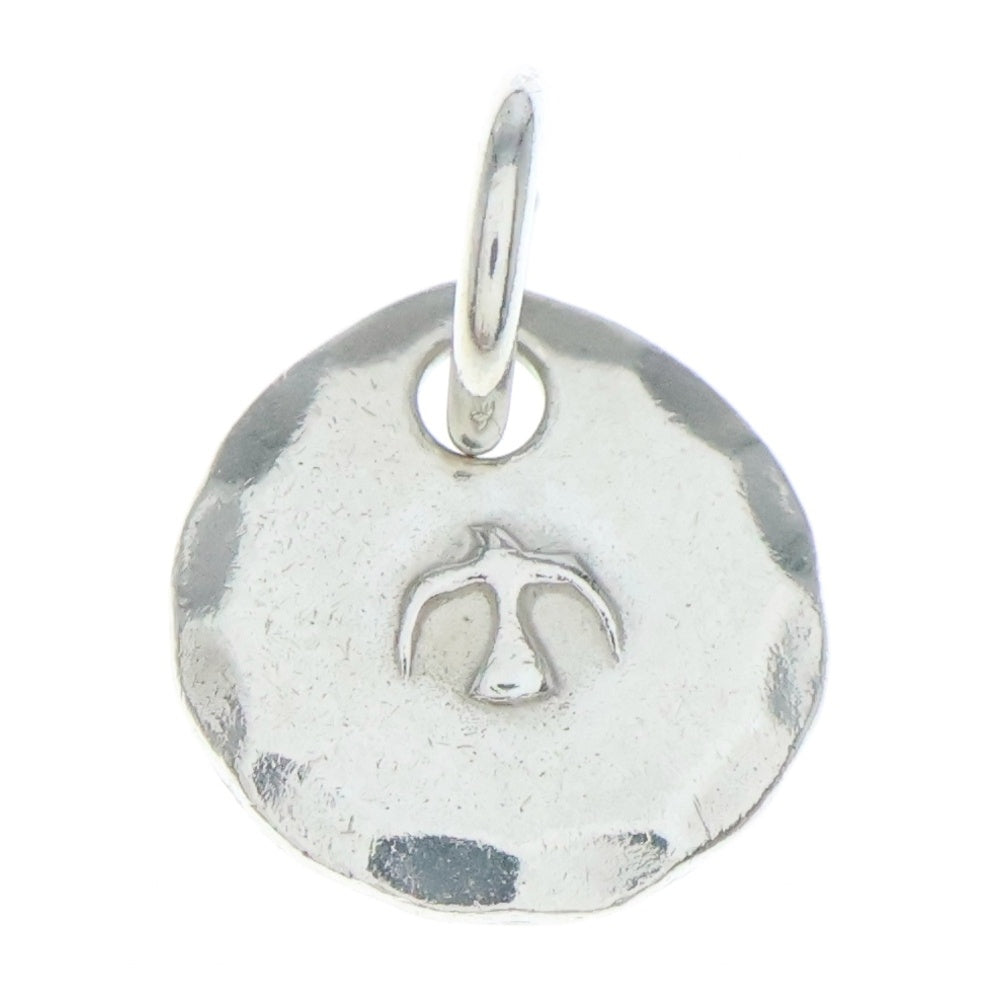 NO BRAND(ノーブランド) THE SUN (ザサン) シルバーチャーム センターイーグル シルバー