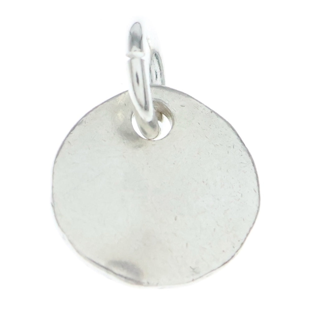 NO BRAND(ノーブランド) THE SUN (ザサン) シルバーチャーム センターイーグル シルバー