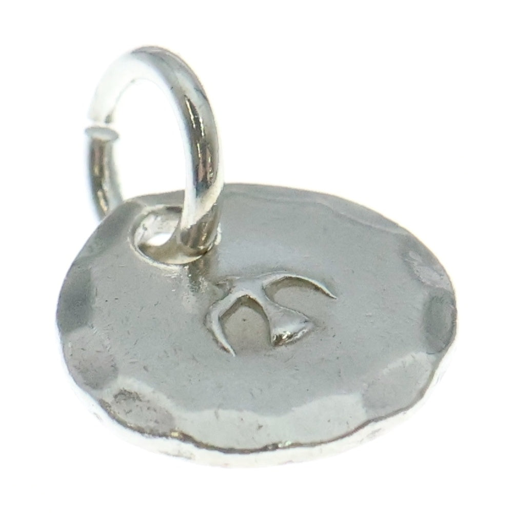 NO BRAND(ノーブランド) THE SUN (ザサン) シルバーチャーム センターイーグル シルバー