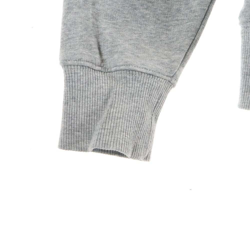 THE NORTH FACE(ザノースフェイス) REARVIEW FULLZIP HOODIE リアビュー フルジップアップ フーディ ジップアップパーカー グレー NT11530