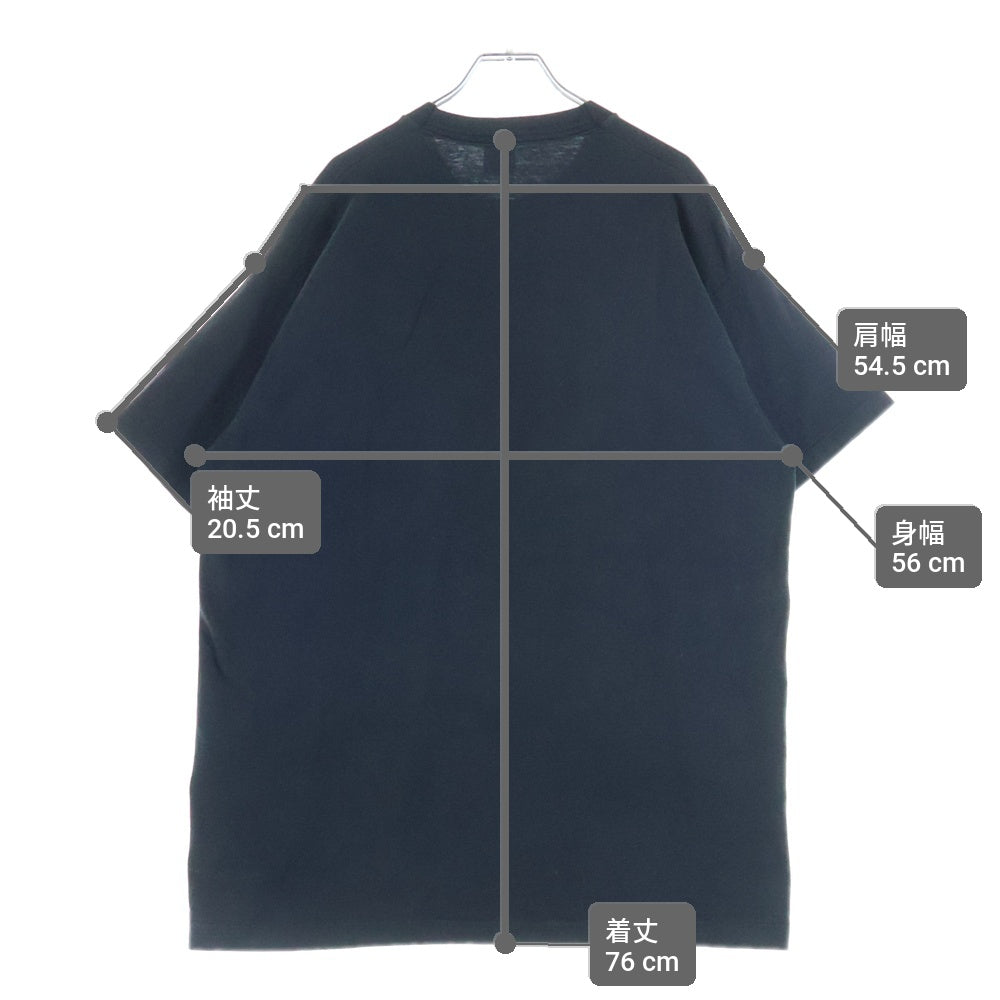 VINTAGE(ヴィンテージ) 90S WILLIAM WEGMAN FRUIT OF THE ROOMタグ シングルステッチ 1994コピーライト フロントプリントクルーネック半袖Tシャツ
