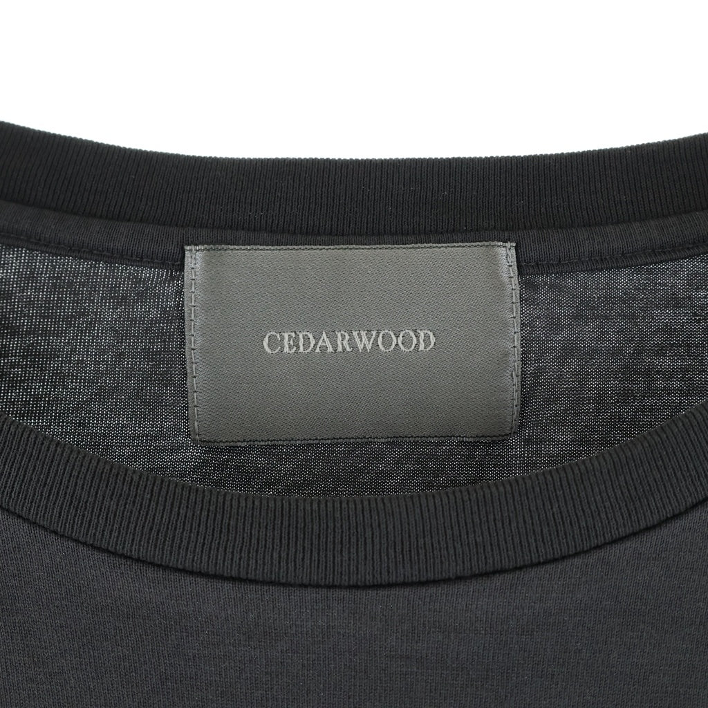 NO BRAND(ノーブランド) CEDARWOOD ATS LONG SLEEVE / WASHED BLK シダーウッド ATSロングスリーブ クルーネック長袖Tシャツカットソー ブラック CW2502-CS01