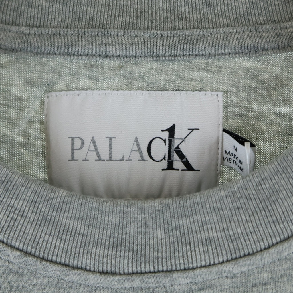 Palace Skateboards(パレススケートボーズ) 22SS ×CALVIN KLEIN SS LOGO TEE EMBROID パレス プリントロゴ 半袖Tシャツ カットソー グレー40317UC
