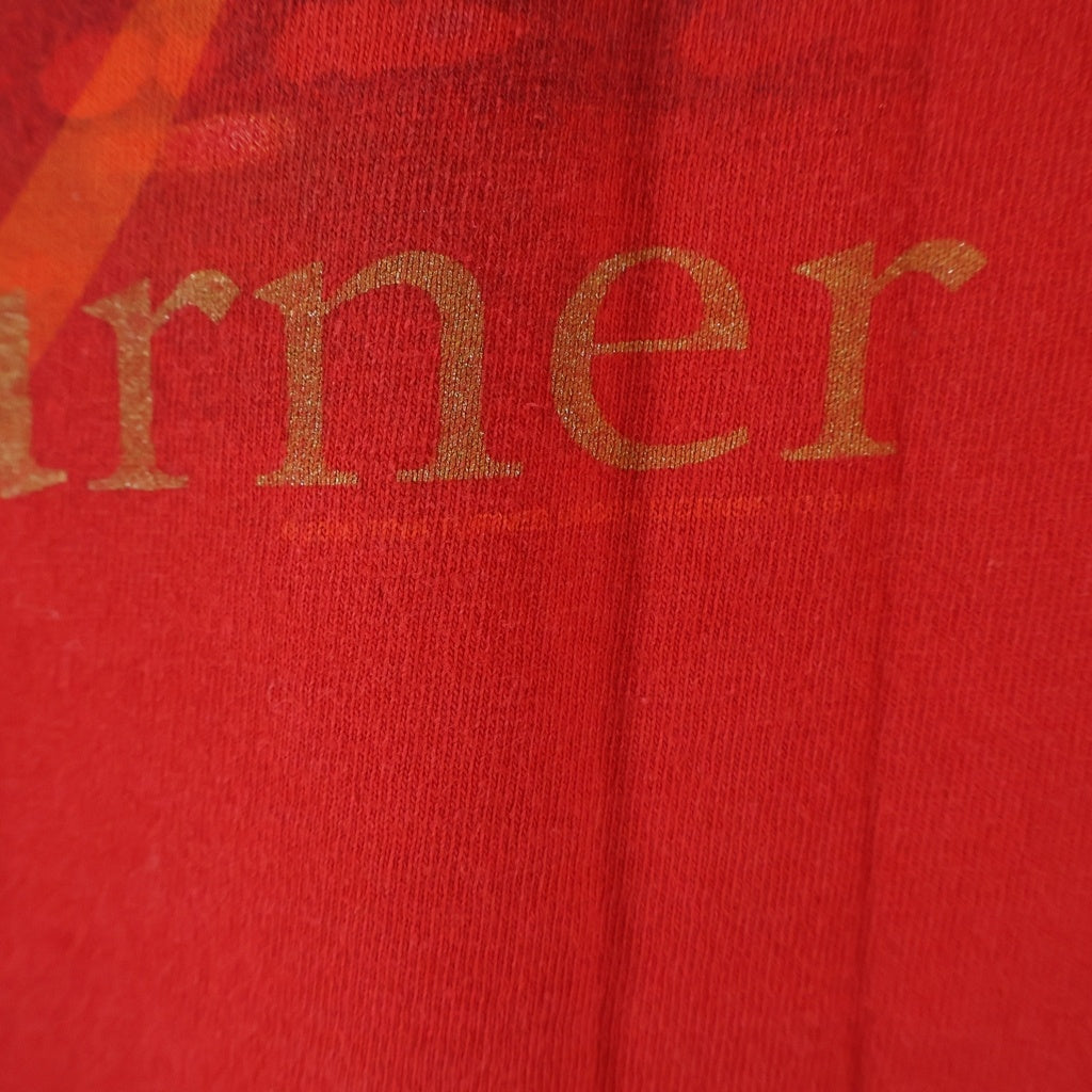 VINTAGE(ヴィンテージ) 00S Tina Turner Concert Merch T-shirt ティナターナー giantタグ 2000コピーライト コンサート マーチ 両面プリント クルーネック半袖Tシャツカットソー