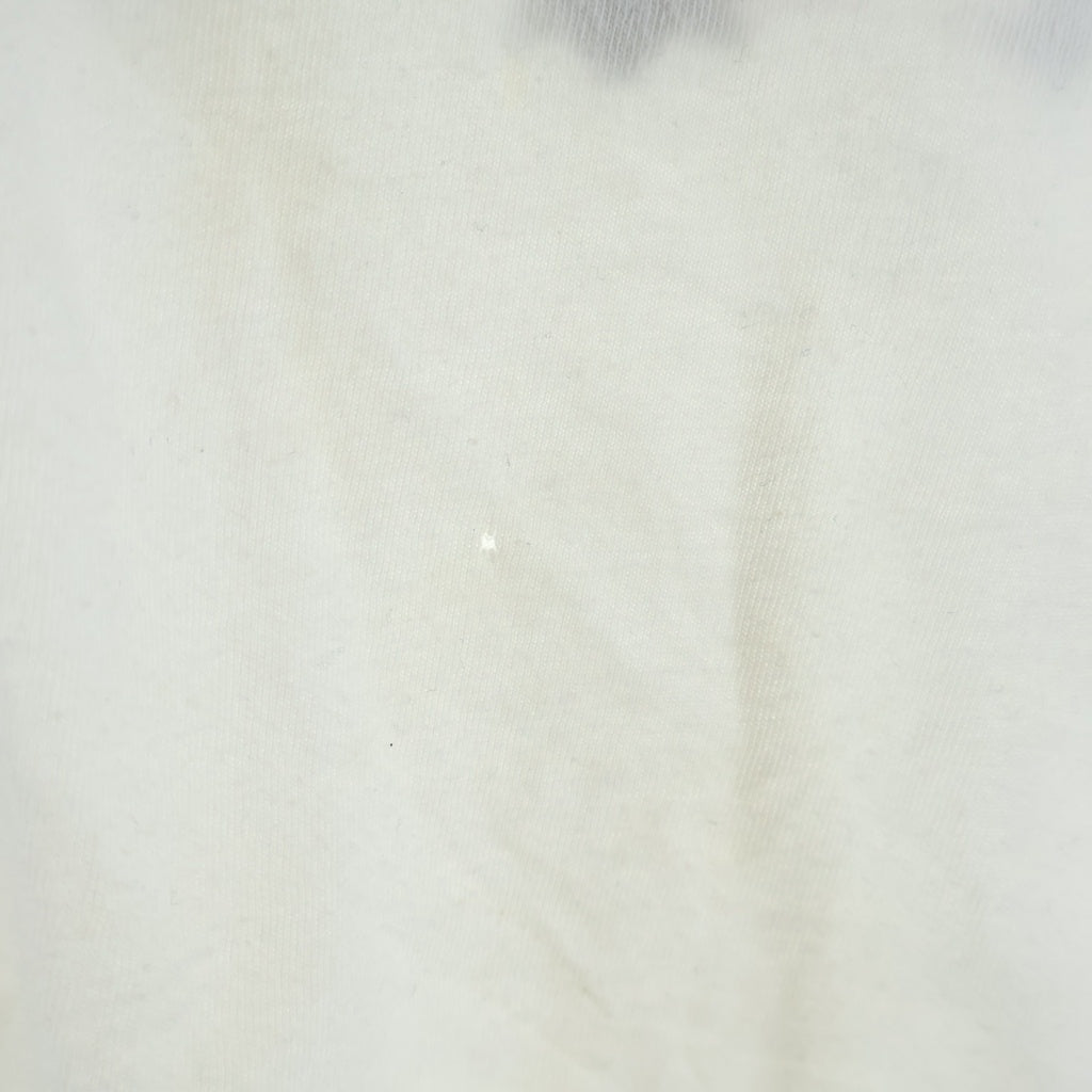 CHROME HEARTS(クロムハーツ) Vine Dagger ヴァインダガー アームフローラルプリント クルーネック長袖Tシャツカットソー ロンT ホワイト