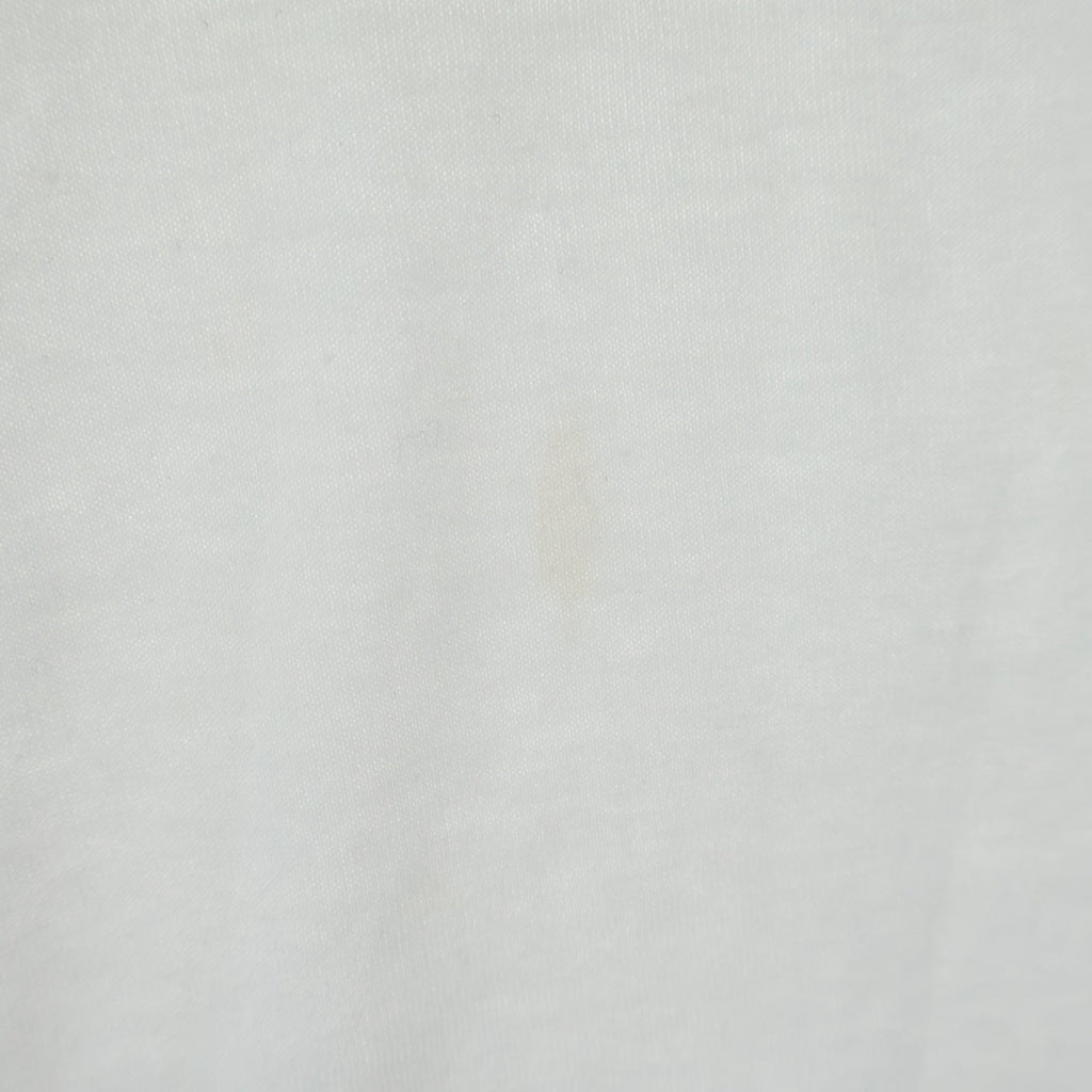 CELINE(セリーヌ) トリオンフエンブロイダリークルーネック半袖Tシャツカットソー ホワイト 2X04I671Q.01OB
