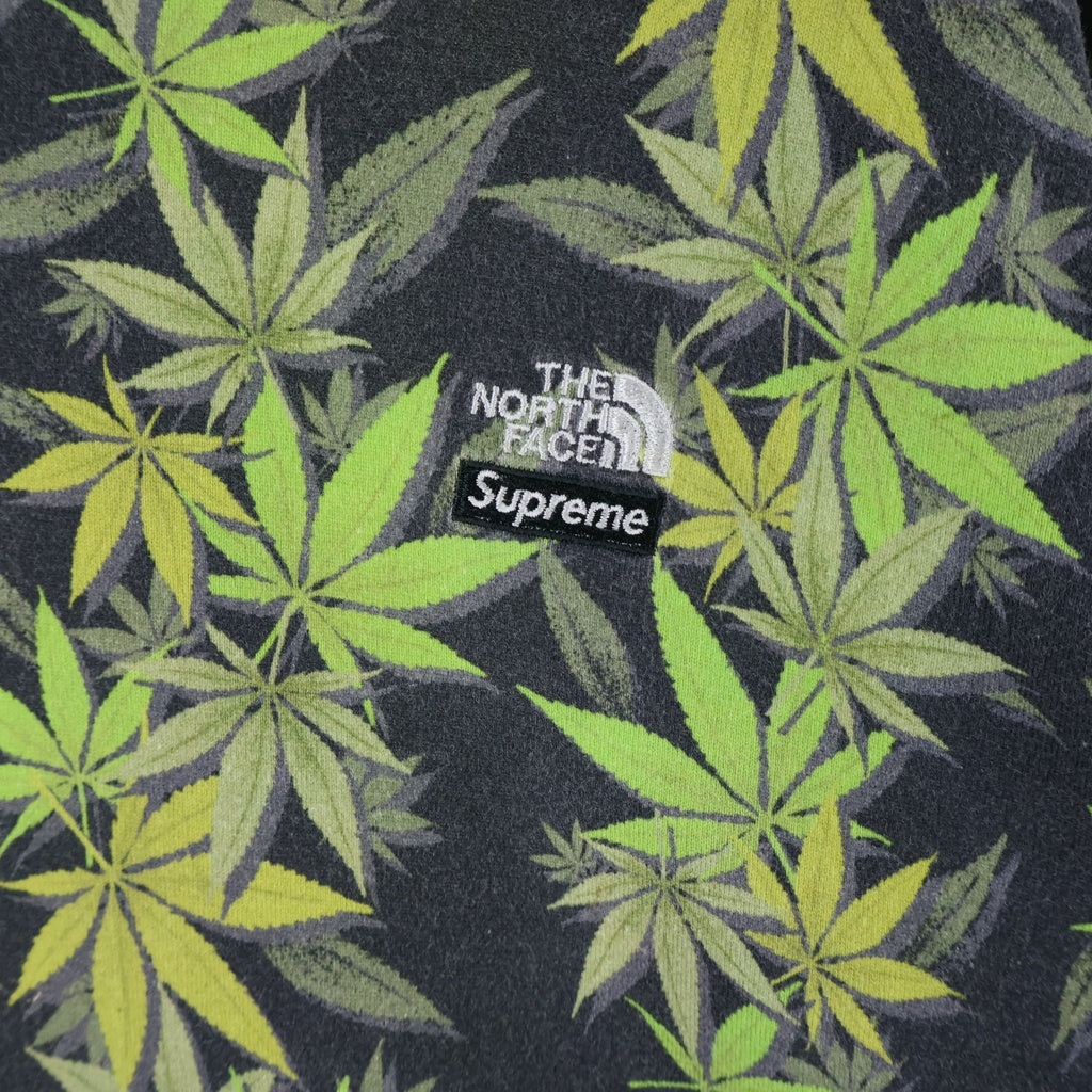 SUPREME(シュプリーム) 23AW ×THE NORTH FACE Leaf S/S Top NT52303I ザノースフェイス リーフショートスリーブトップ プリント半袖Tシャツ ホワイト/グリーン
