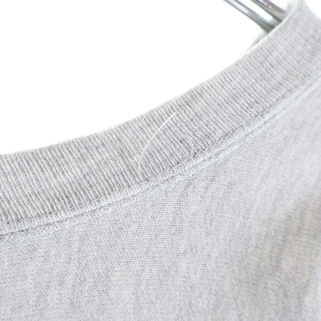 CHAMPION(チャンピオン) 80s VINTAGE REVERSE WAVE NOTRE DAME リヴァースウィーブ ノートルダム大学 カレッジロゴ トリコタグ プリントクルーネック長袖スウェットトレーナー グレー