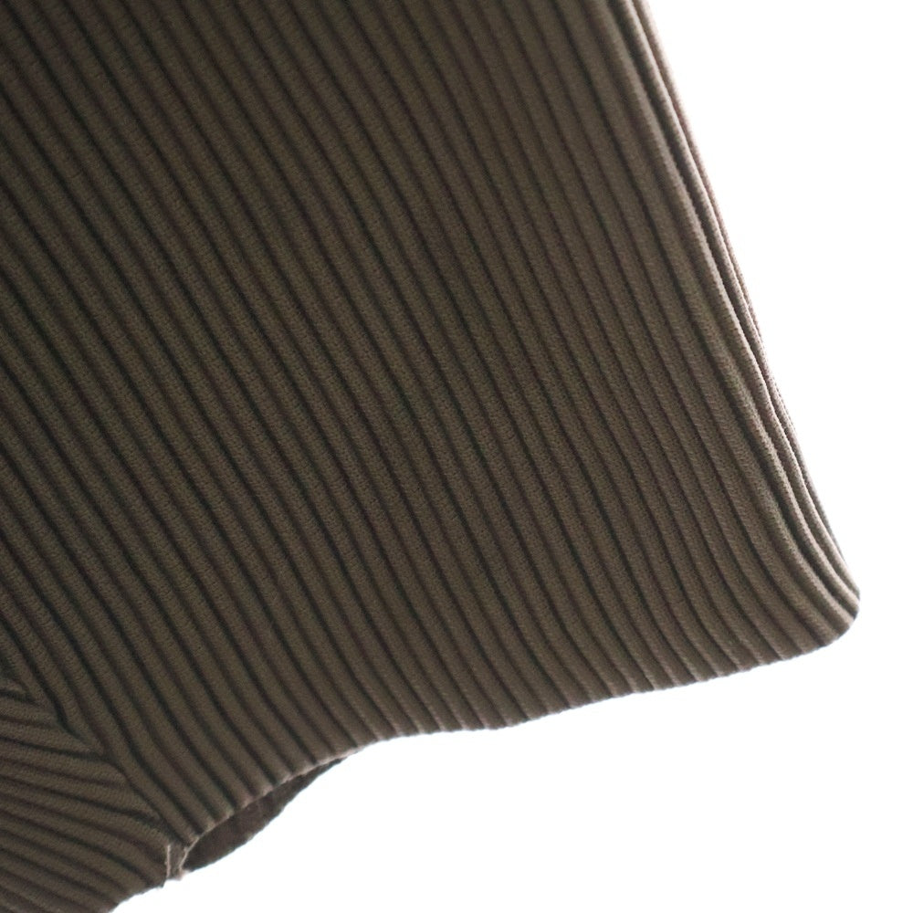 Stein(シュタイン) 22AW OVERSIZED GRADATION PLEATS LS オーバーサイズグラデーションプリーツハイネックカットソー ブラウン ST.304