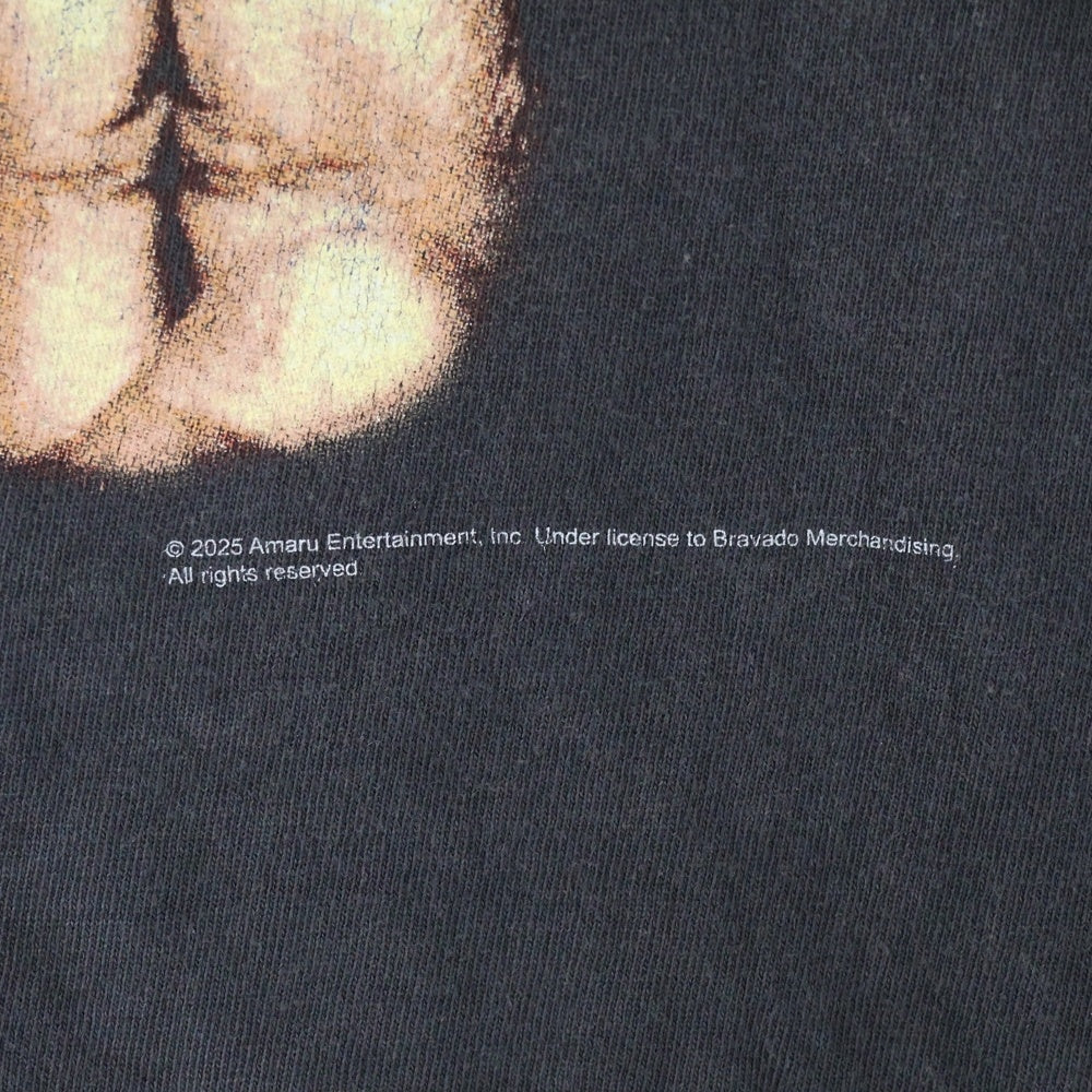 SAINT MICHAEL(セントマイケル) 25SS 2PAC TEE 2パック クルーネック 半袖カットソー Tシャツ グレーSM-HR8-0000-C14
