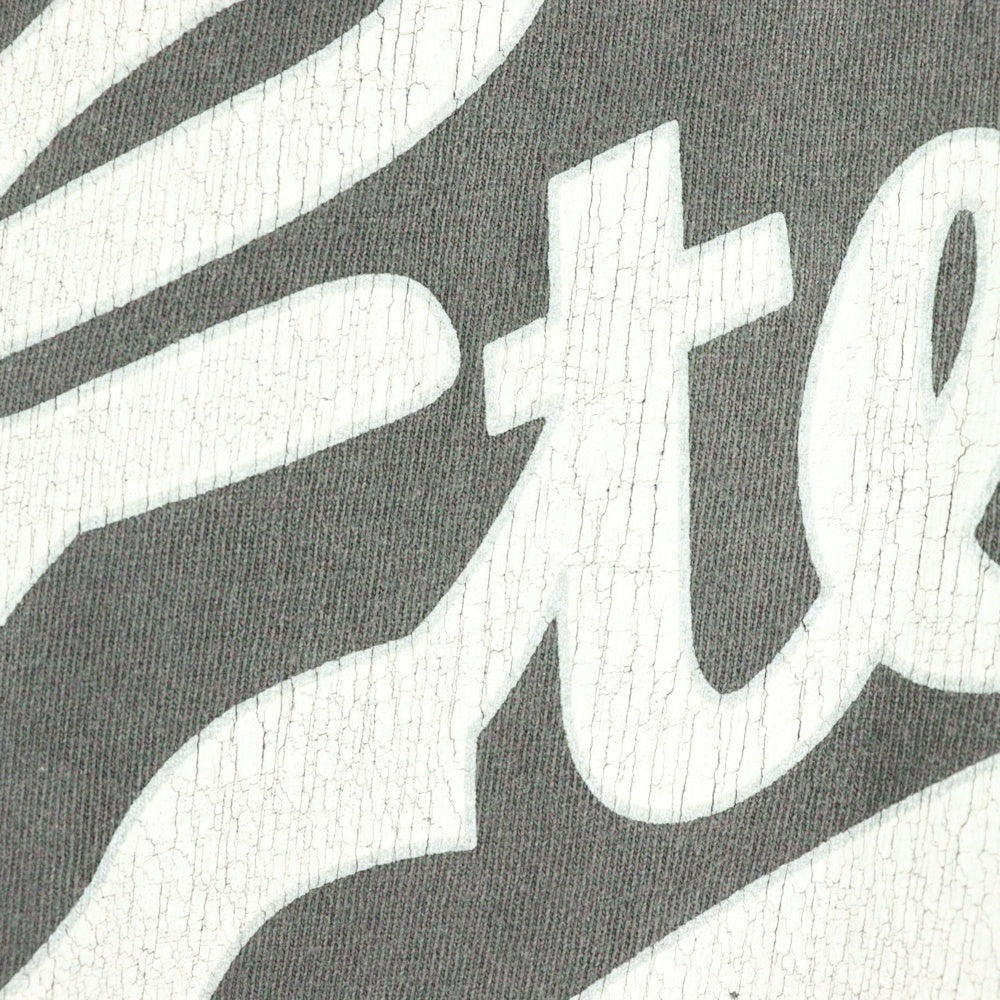 SAINT MICHAEL(セントマイケル) 25SS ×FEAR OF GOD SNT OF GOD FG_SS TEE VINTAGE加工 セントオブゴッド 両面プリント クルーネック 半袖Tシャツ カットソー グレー SM-HR8-0000-C01