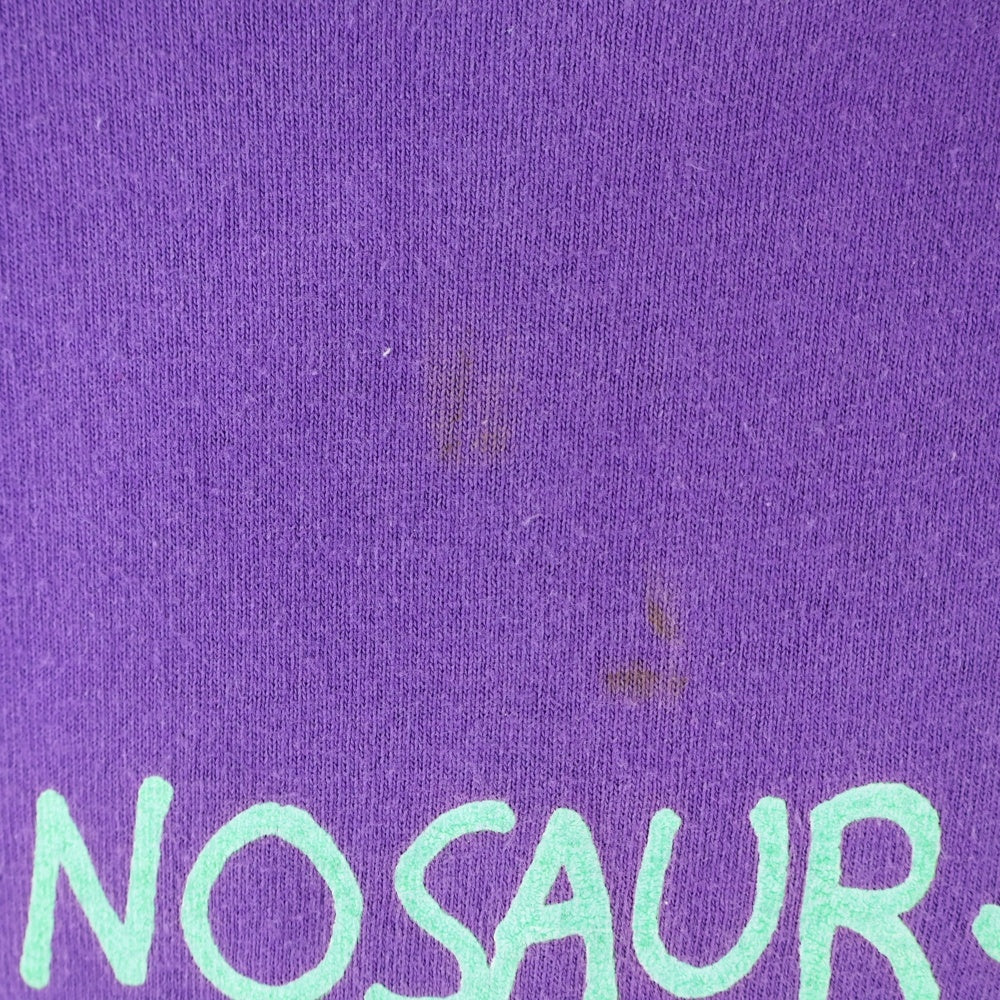 VINTAGE(ヴィンテージ) 00s DINOSAUR Jr COW & GORILLA PURPLE TEE ダイナソージュニア 両面プリント半袖Tシャツ カットソー パープル