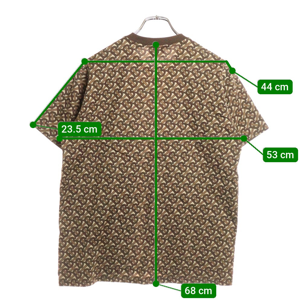 BURBERRY(バーバリー) MUNLEY TBM Tシャツ メンズ モノグラムストライププリント 半袖 コットンTシャツ 8018239 ブラウン