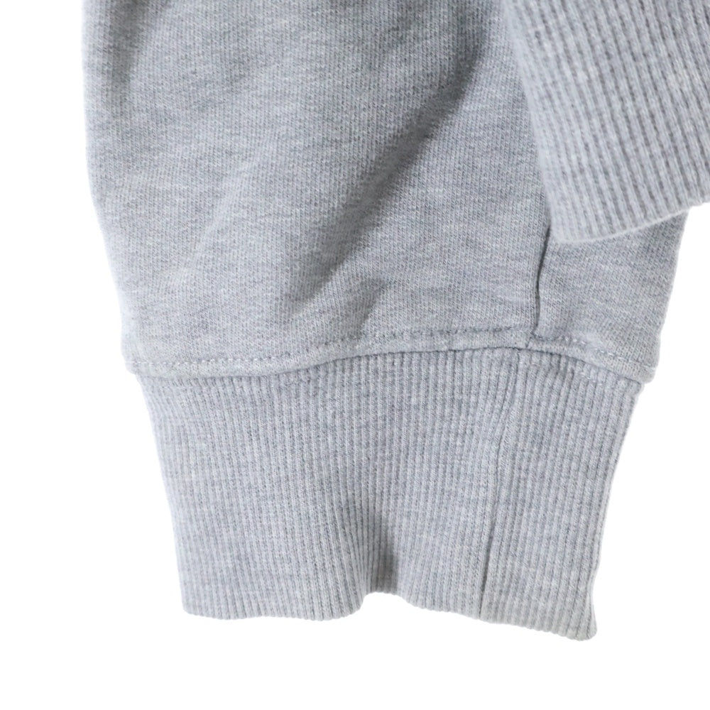 DIOR(ディオール) CD ICON HOODIE CDアイロン刺繍 スウェット プルオーバーパーカー グレー 113J698A0531