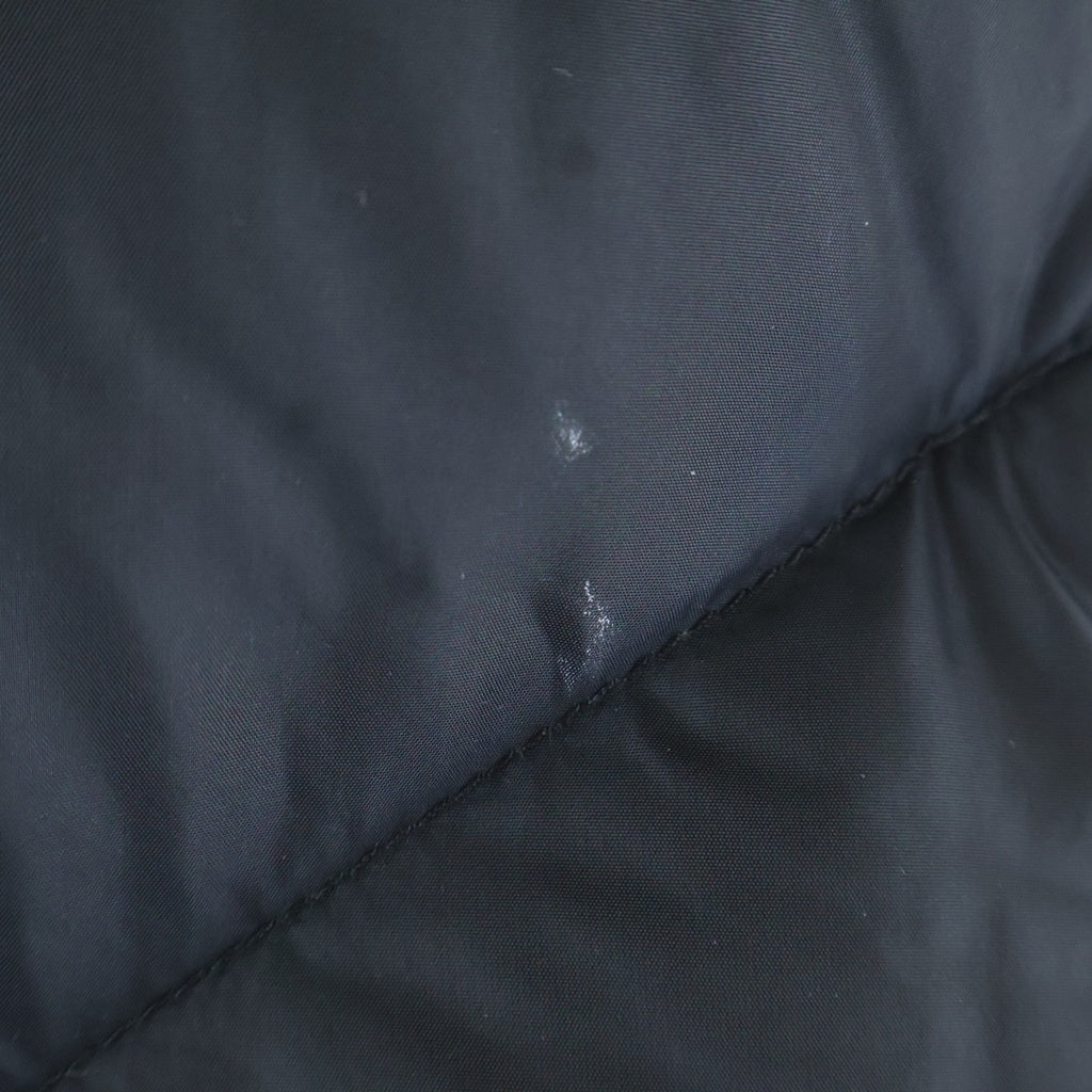 THE NORTH FACE(ザノースフェイス) Ascent Vest アセント ベスト 600フィル ダウンベスト ND-1042 ブラック