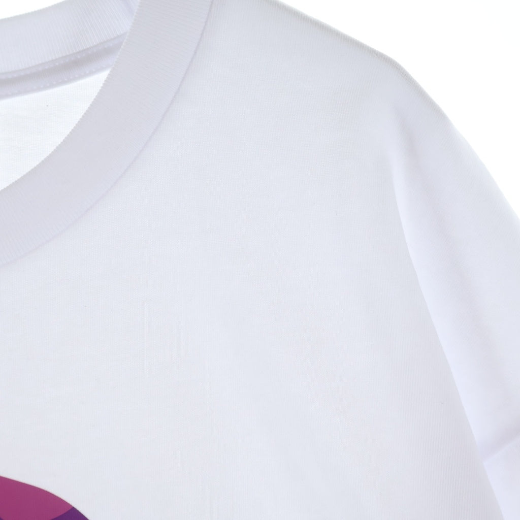 A BATHING APE(アベイシングエイプ) ABC CAMO COLLEGE TEE カモ柄 ロゴ半袖Tシャツ カットソー ホワイト