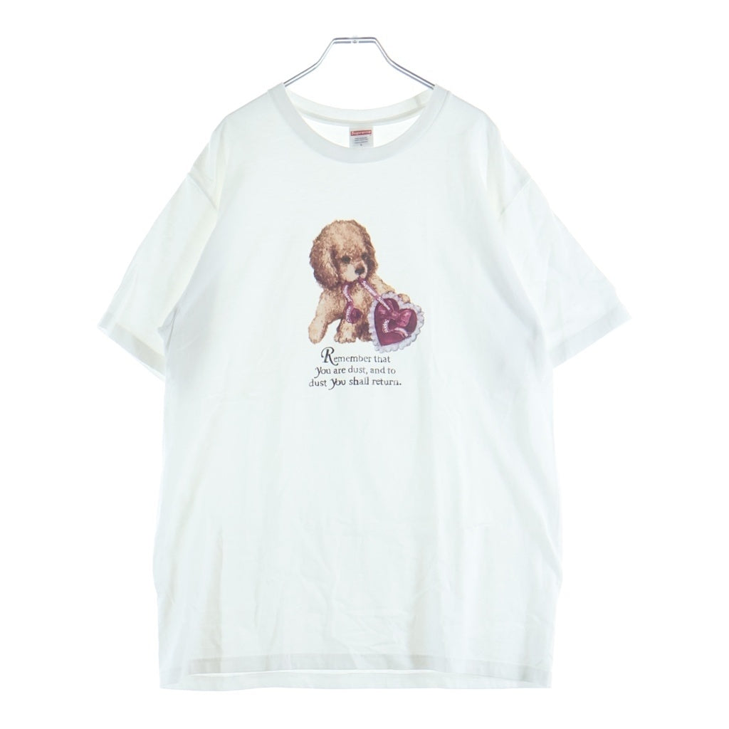 SUPREME(シュプリーム) 25AW Dust Tee フロントプリントクルーネック半袖カットソーTシャツ ホワイト