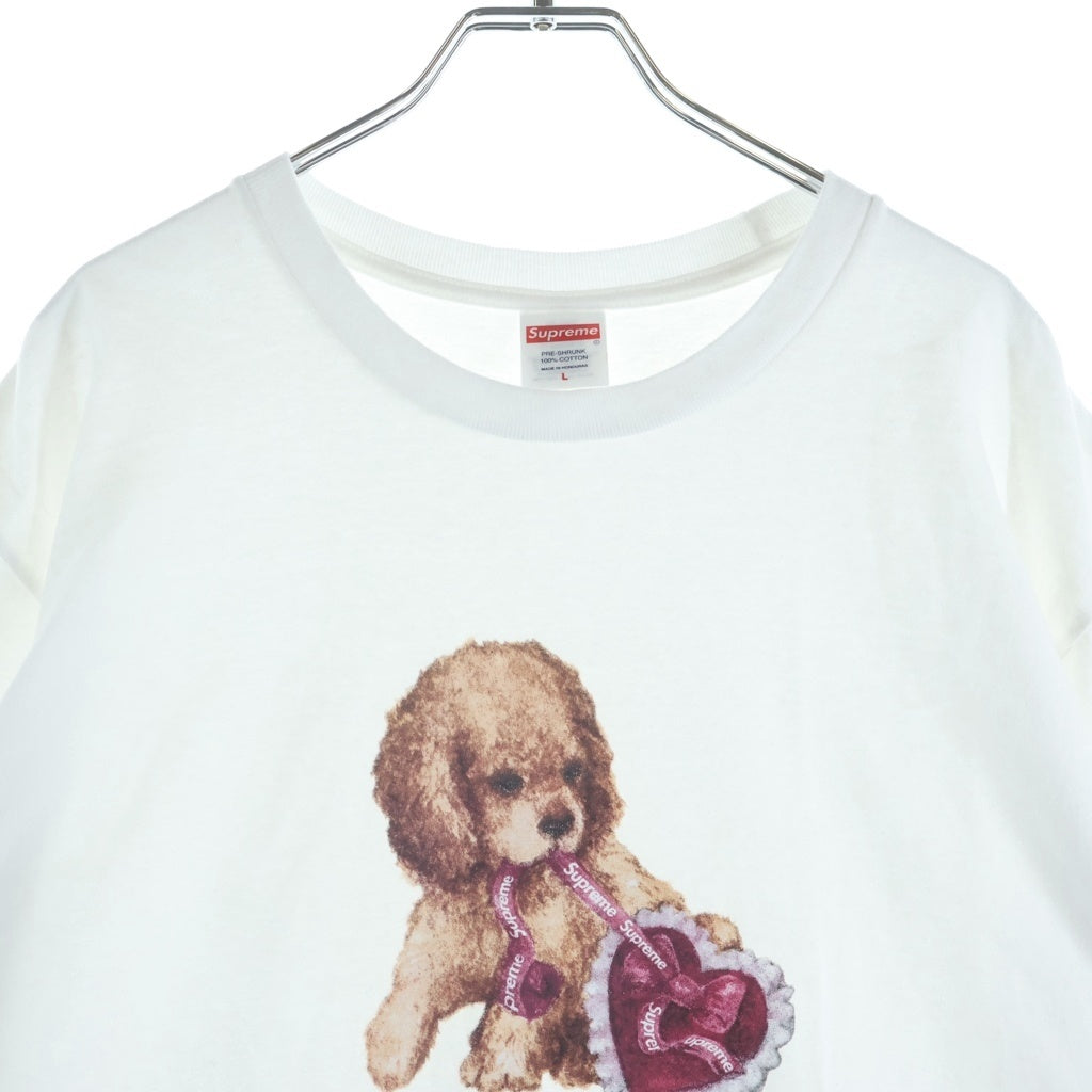 SUPREME(シュプリーム) 25AW Dust Tee フロントプリントクルーネック半袖カットソーTシャツ ホワイト