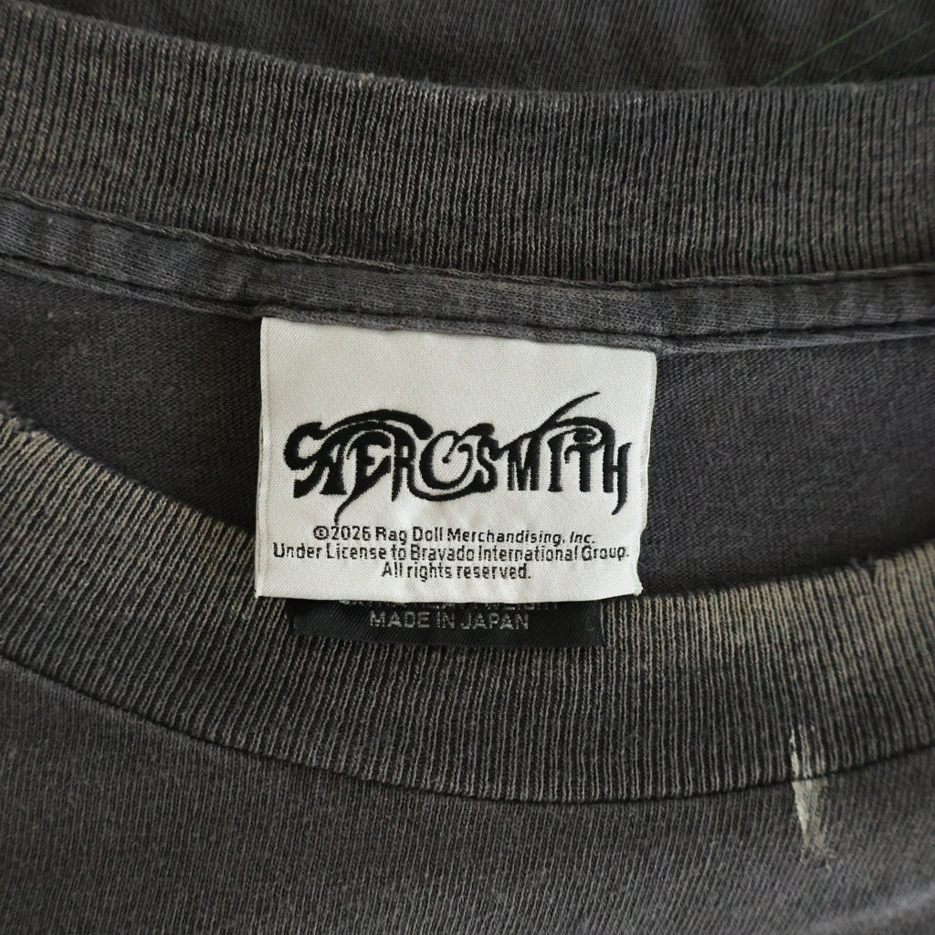 SAINT MICHAEL(セントマイケル) 26SS AEROSMITH AS_SS T-SHIRT エアロスミス エーエス ヴィンテージ加工クルーネック半袖Tシャツカットソー グレー SM-MK8-0000-C25