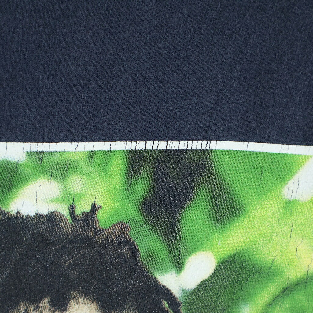 SUPREME(シュプリーム) 19SS Buju Banton Tee ブジュバントンプリント クルーネック半袖Tシャツカットソー ネイビー