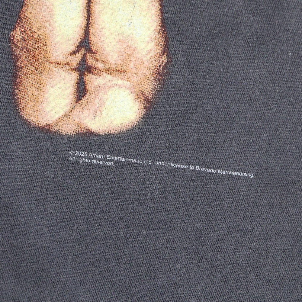 SAINT MICHAEL(セントマイケル) 25SS 2PAC 2PC_SS TEE 2パック フォトプリント ヴィンテージ加工 半袖Tシャツ ブラック SM-HR8-0000-C14