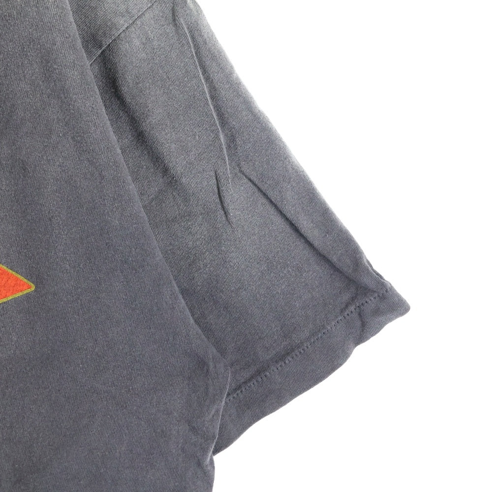 SAINT MICHAEL(セントマイケル) 24AW ×DENIM TEARS LOGO PRINT TEE デニムティアーズ ロゴプリント ヴィンテージ加工 クルーネック 半袖カットソー グレー SM-YS1-0000-C45