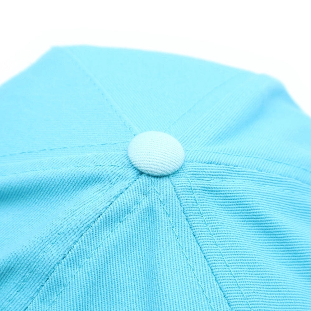 STUSSY(ステューシー) フロント刺繍ロゴ スナップバックキャップ ライトブルー