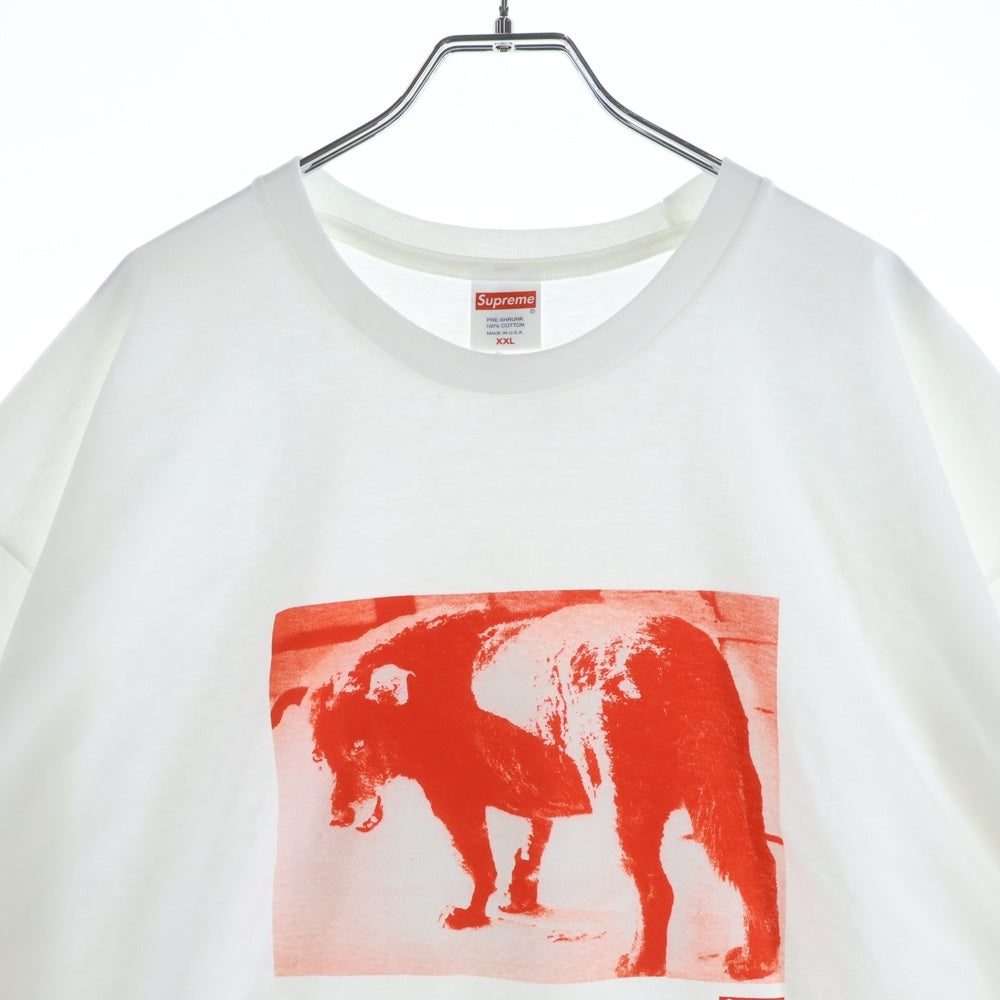 SUPREME(シュプリーム) 22SS Daido Moriyama Dog Tee 森山大道 ドッグ クルーネック 半袖Tシャツ カットソー ホワイト