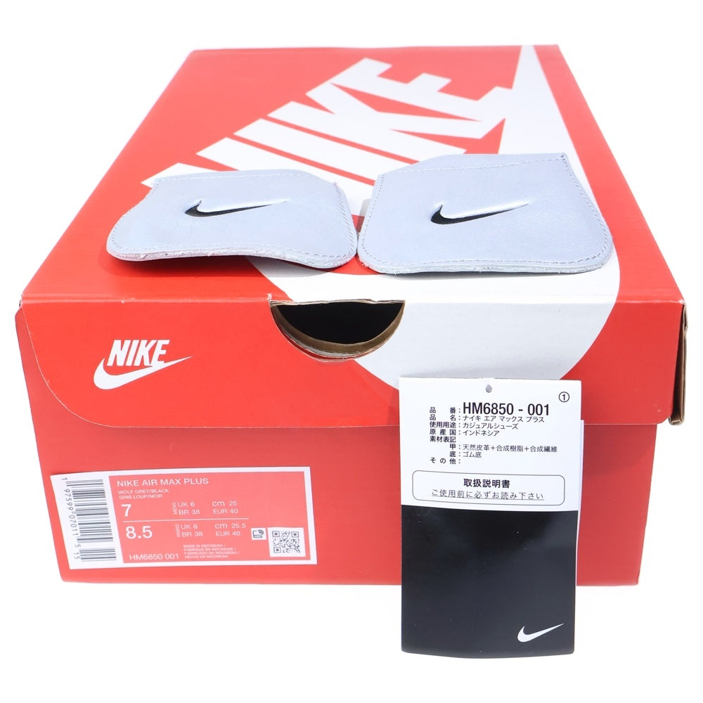 NIKE(ナイキ) Air Max Plus Tiempo エアマックスプラス ティエンポ ローカットスニーカー シルバー US7/25cm HM6850-001