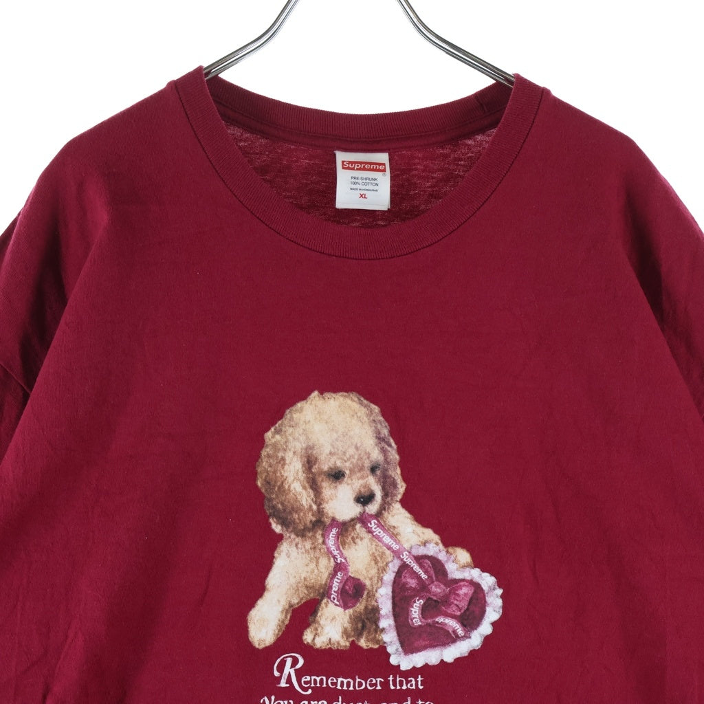 SUPREME(シュプリーム) 25AW Dust Tee フロンプリント クルーネック半袖Tシャツカットソー レッド