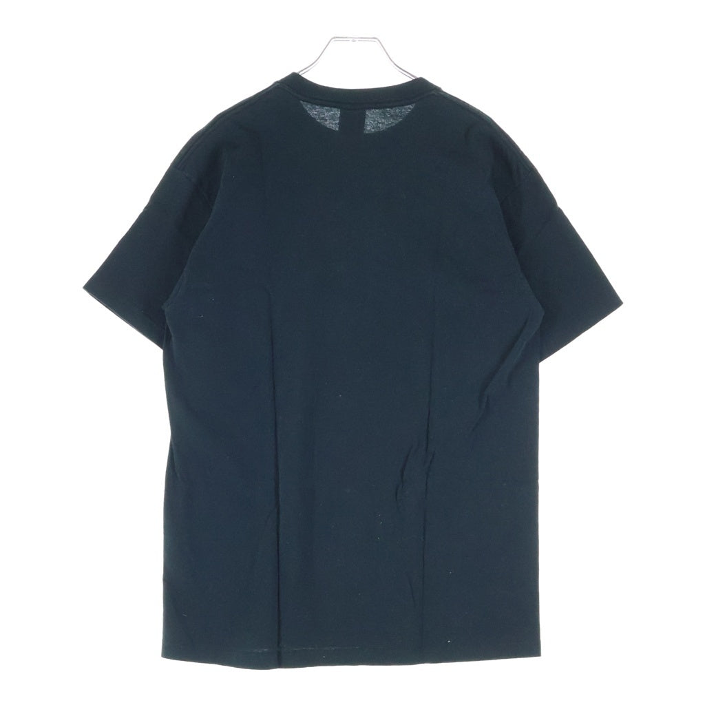 STUSSY(ステューシー) OLD SSリンク 半袖Tシャツ カットソー コットン オールド ブラック
