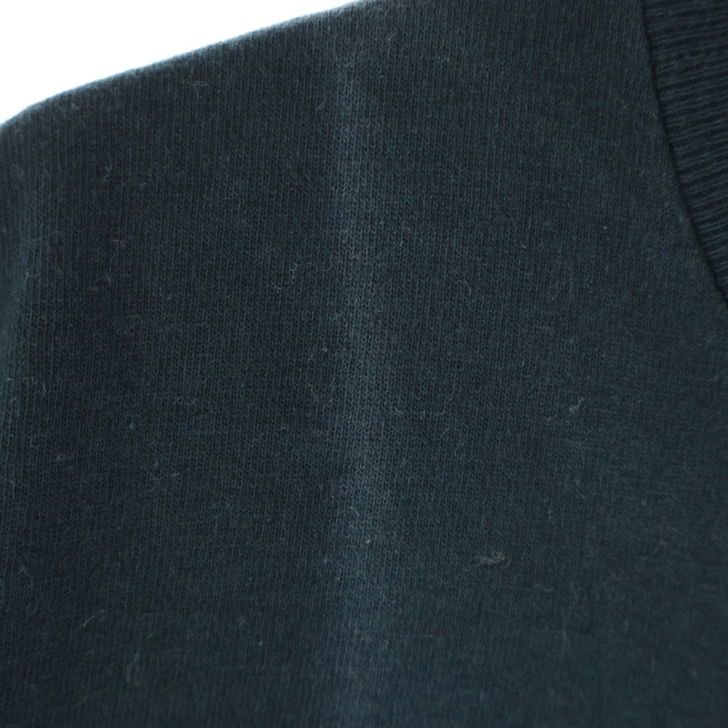 STUSSY(ステューシー) OLD SSリンク 半袖Tシャツ カットソー コットン オールド ブラック
