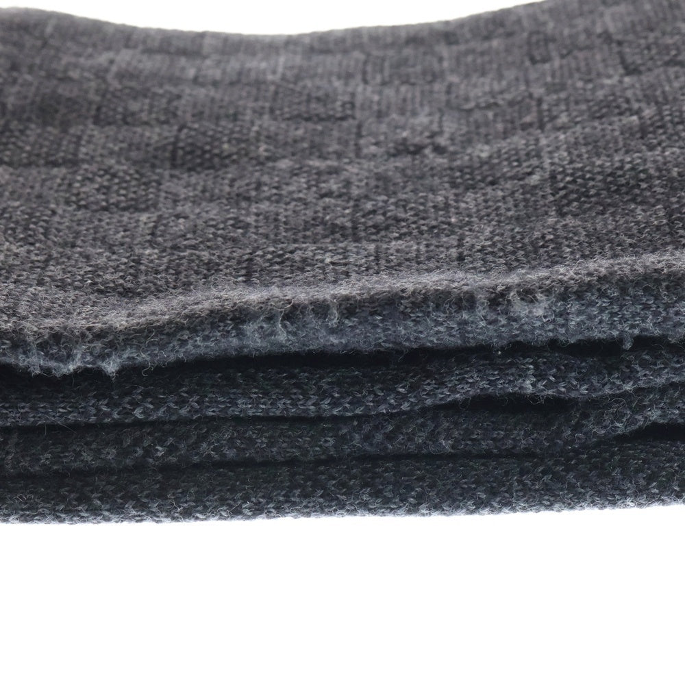 LOUIS VUITTON(ルイヴィトン) ダミエグラフィット エシャルプ プティ