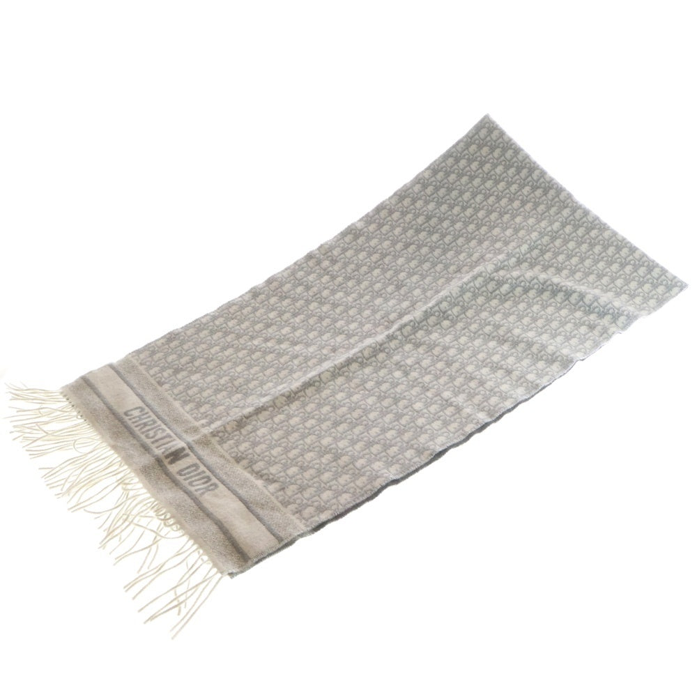 Christian Dior(クリスチャンディオール) オブリーク フリンジ