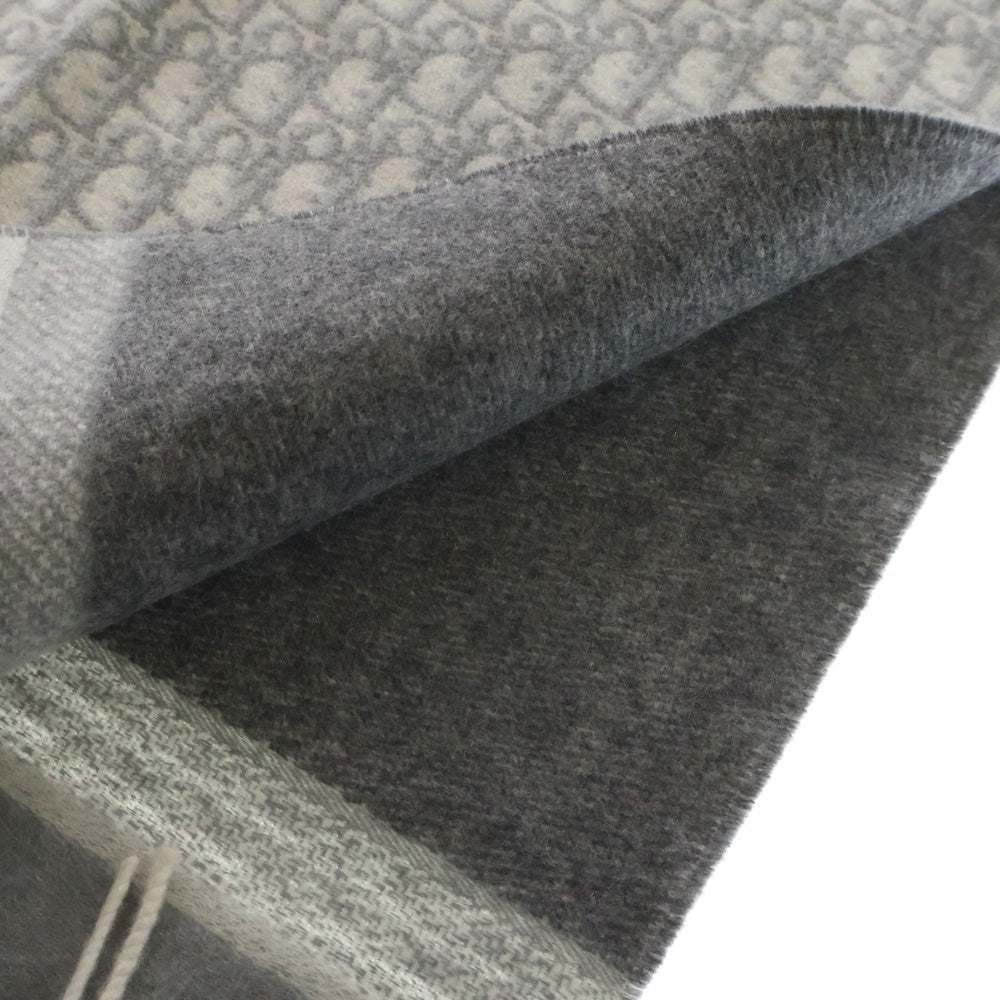 Christian Dior(クリスチャンディオール) オブリーク フリンジ