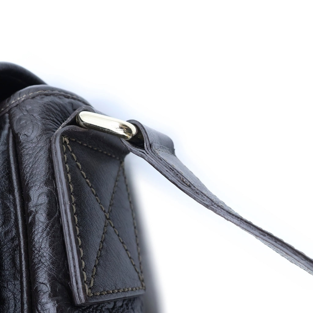 GUCCI(グッチ) グッチシマ メッセンジャーバッグ ショルーバッグ ブラウン レザー 223665 レディース