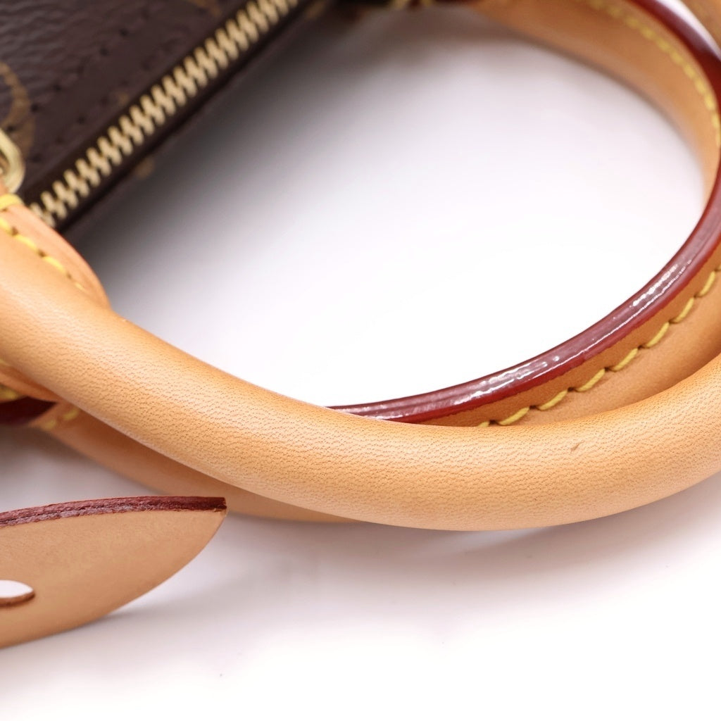 LOUIS VUITTON(ルイヴィトン) モノグラム スピーディ25 ハンドバッグ ボストンバッグ ブラウン レザー×PVC M41109 ゴールド金具 レディース