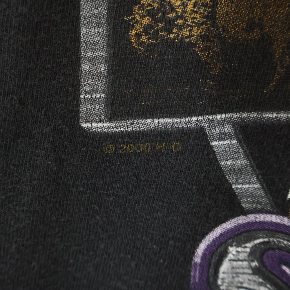 VINTAGE(ヴィンテージ) 00s HARLEY DAVIDSON BLACK HILLS RALLY 60th ハーレーダビッドソン 2000半袖 Tシャツ カットソー ブラック