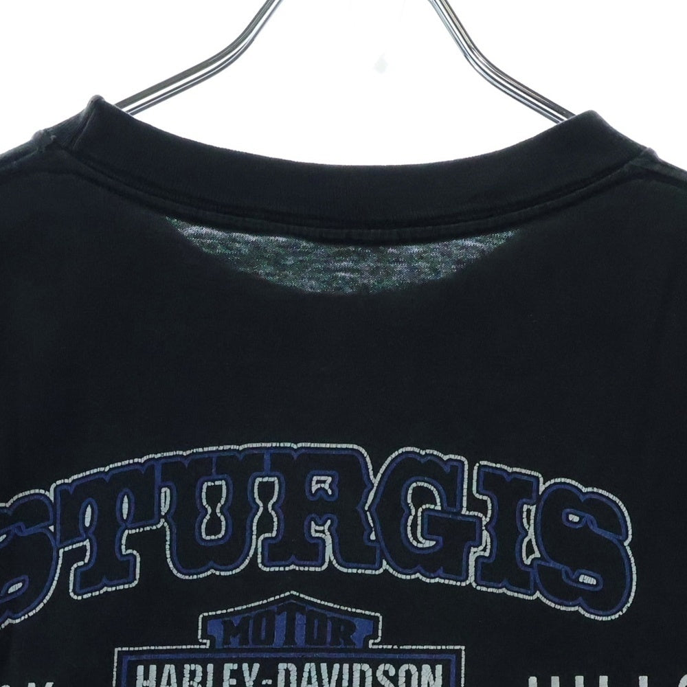 VINTAGE(ヴィンテージ) 00s HARLEY DAVIDSON BLACK HILLS RALLY 2000 STURGIS ハーレーダビッドソン 両面プリント Tシャツ 半袖カットソー ブラック