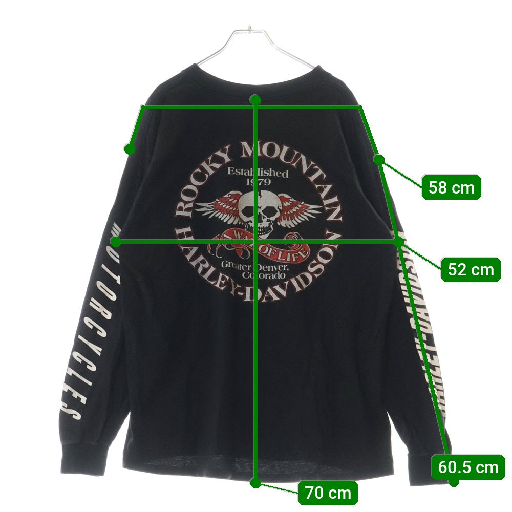VINTAGE(ヴィンテージ) 90s HARLEY DAVIDSON ROCKY MOUNTAIN L/S ハーレーダビッドソン ロッキーマウンテン アームプリント Tシャツ 長袖カットソー ブラック