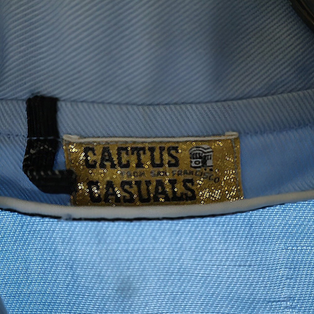 VINTAGE(ヴィンテージ) 70s CACTUS CASUALS 棒 TALON ZIP ジップアップ ブルゾン ブルー