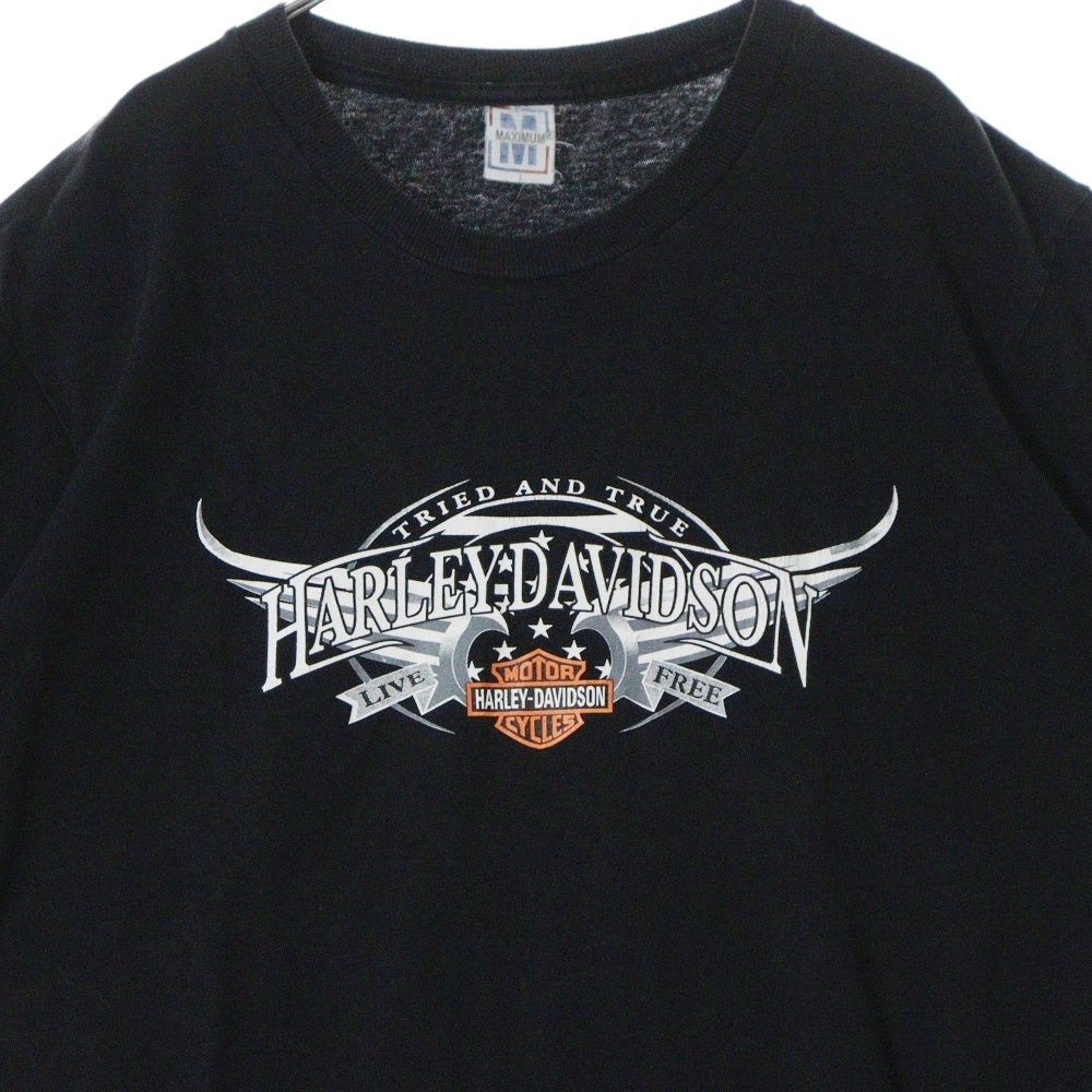 VINTAGE(ヴィンテージ) 90-00s HARLEY DAVIDSON Hermosa Bad Boy CostaRica Dali ハーレーダビッドソン ダリ 両面プリント Tシャツ 半袖カットソー ブラック