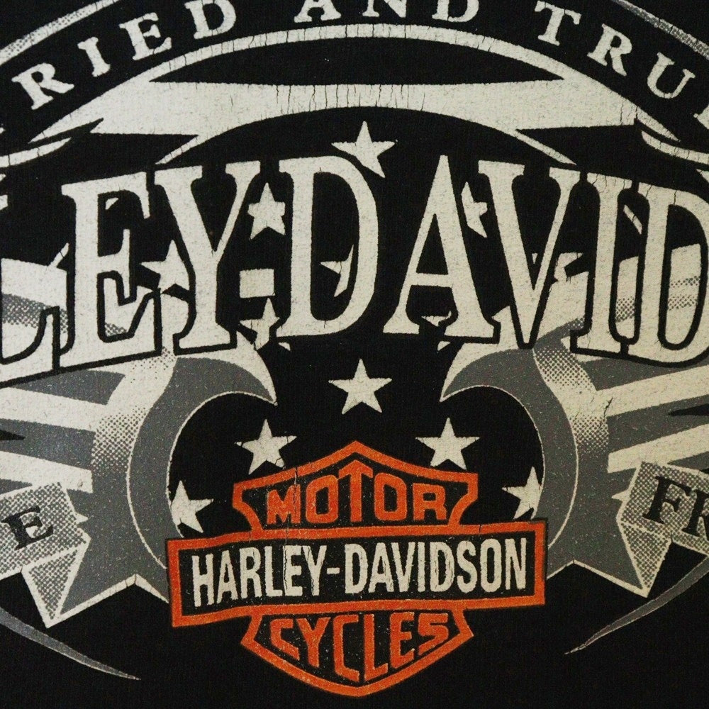 VINTAGE(ヴィンテージ) 90-00s HARLEY DAVIDSON Hermosa Bad Boy CostaRica Dali ハーレーダビッドソン ダリ 両面プリント Tシャツ 半袖カットソー ブラック