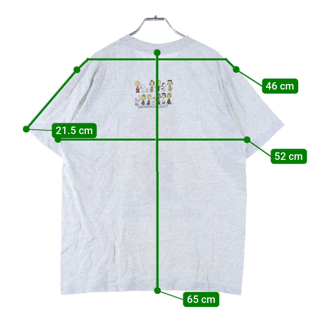 VINTAGE(ヴィンテージ) 90s PEANUTS PIGPEN ピーナッツ ピッグペン 両面プリント Tシャツ 半袖カットソー グレー