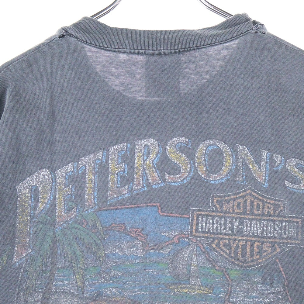 VINTAGE(ヴィンテージ) 00s HARLEY DAVIDSON FEEL THE HEAT PETERSON'S FLORIDA ハーレーダビッドソン 両面プリント Tシャツ 半袖カットソー ブラック
