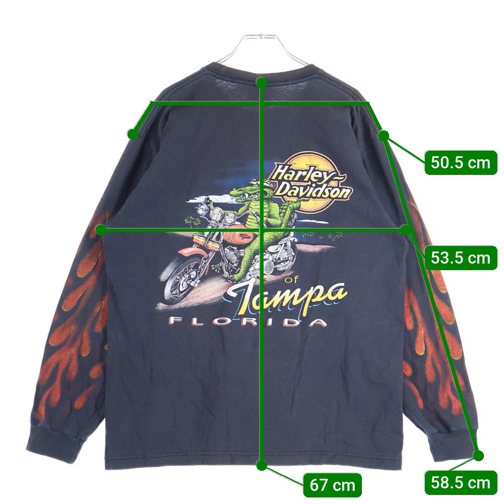HARLEY DAVIDSON(ハーレーダビッドソン) 00s VINTAGE INFERNO FLAMES L/S TEE 2006 ヴィンテージ インフェルノフレイムス 袖ファイヤー 長袖Tシャツ クルーネック ブラック