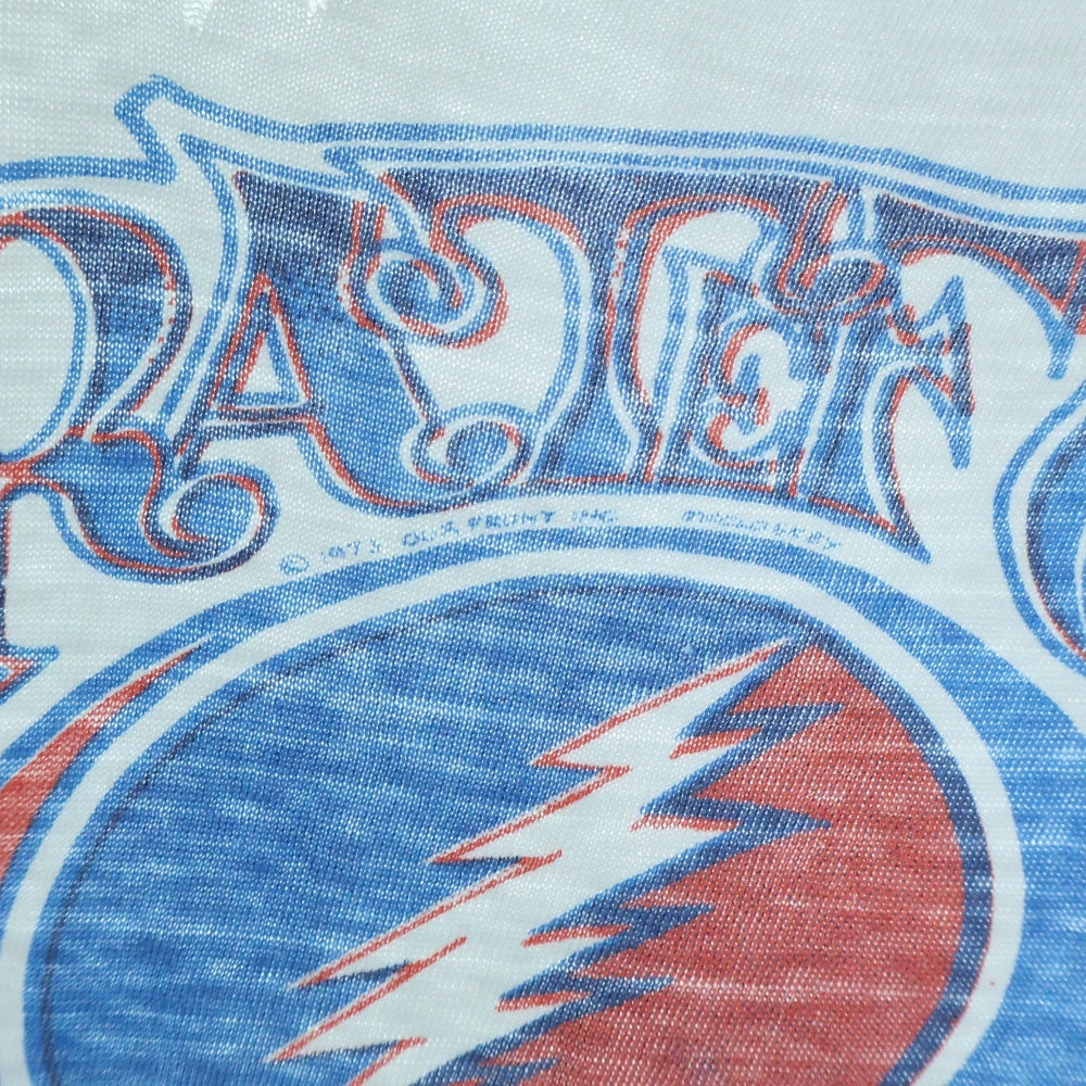VINTAGE(ヴィンテージ) 70s GRATEFUL DEAD 1973 グレートフルデッド 半袖Tシャツ ライトブルー