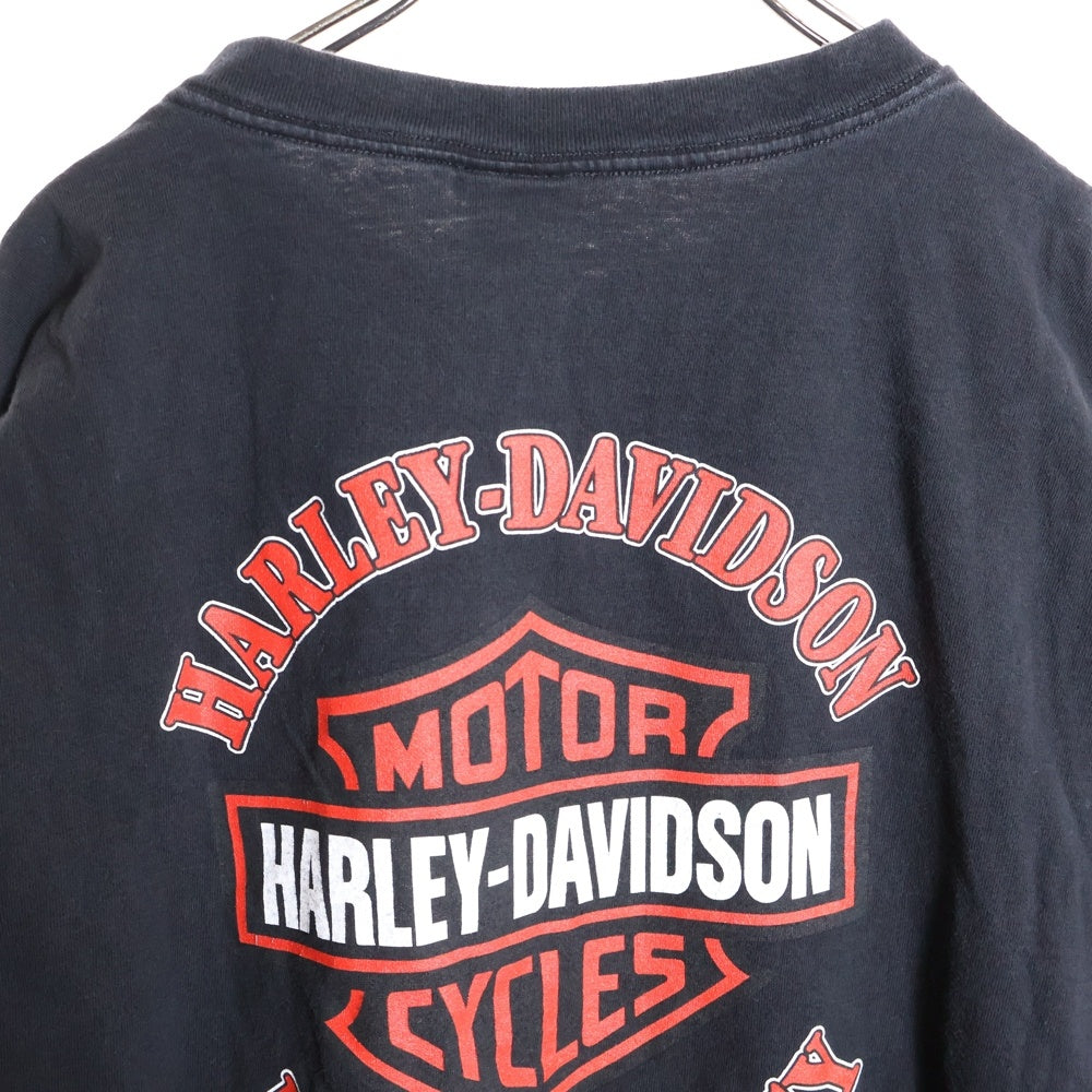 HARLEY DAVIDSON(ハーレーダビッドソン) 90s VINTAGE FLAMES L/S TEE 袖プリント フレイム ファイヤー長袖Tシャツ ブラック