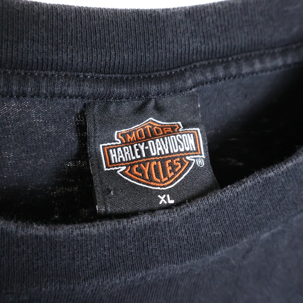 HARLEY DAVIDSON(ハーレーダビッドソン) 90s VINTAGE FLAMES L/S TEE