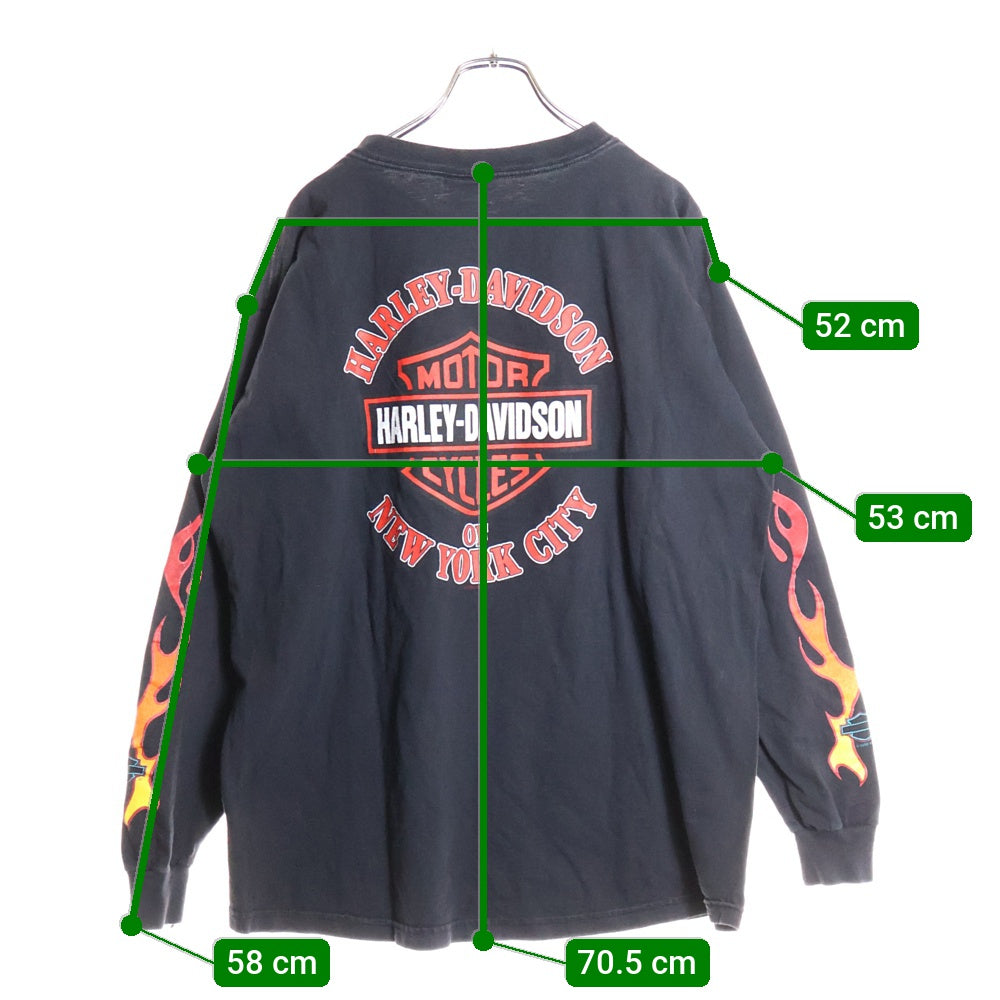 HARLEY DAVIDSON(ハーレーダビッドソン) 90s VINTAGE FLAMES L/S TEE